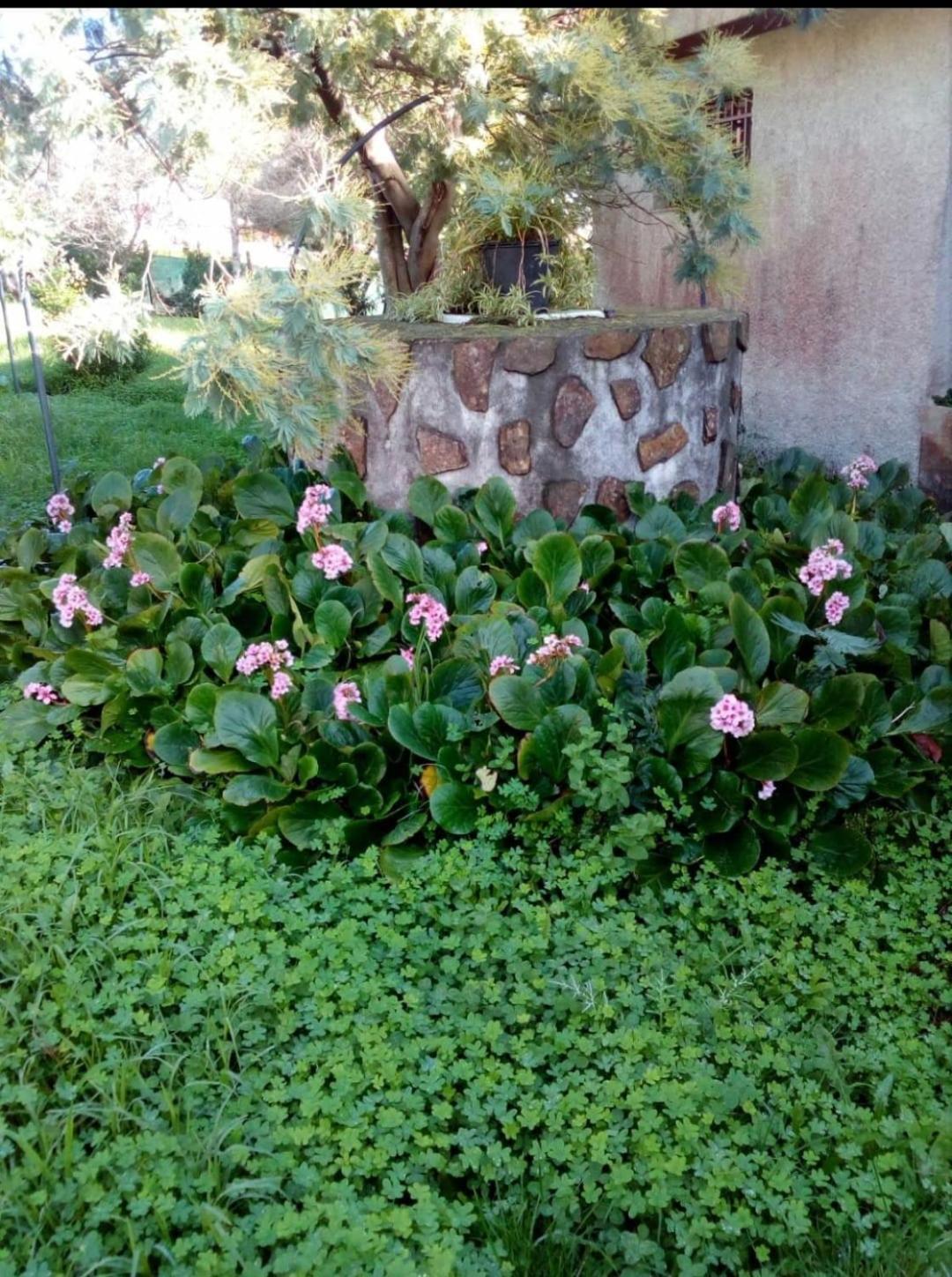 Casa Tina Villa A Guarda Dış mekan fotoğraf