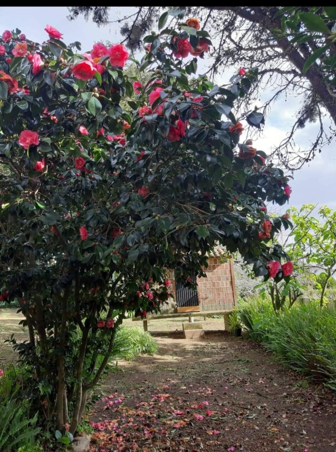 Casa Tina Villa A Guarda Dış mekan fotoğraf